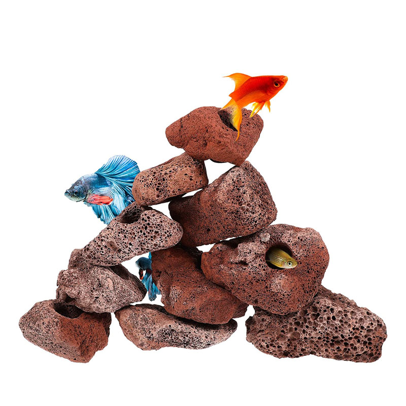 Planted Aquarium With Rocks - Foro aperto Roccia Pesce Gamberetti Riparo