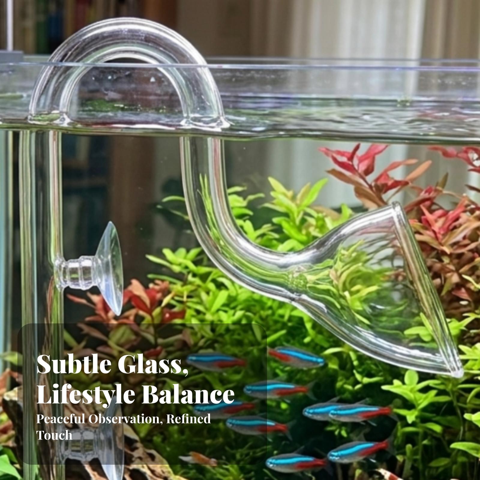 Planted Aquarium Aquascape - Set di tubi Lily Pipe trasparenti
