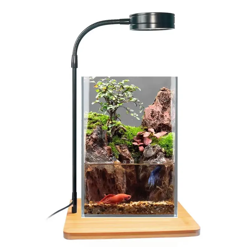 Planted Aquarium Hours - Lampada LED per Acquario con Timer