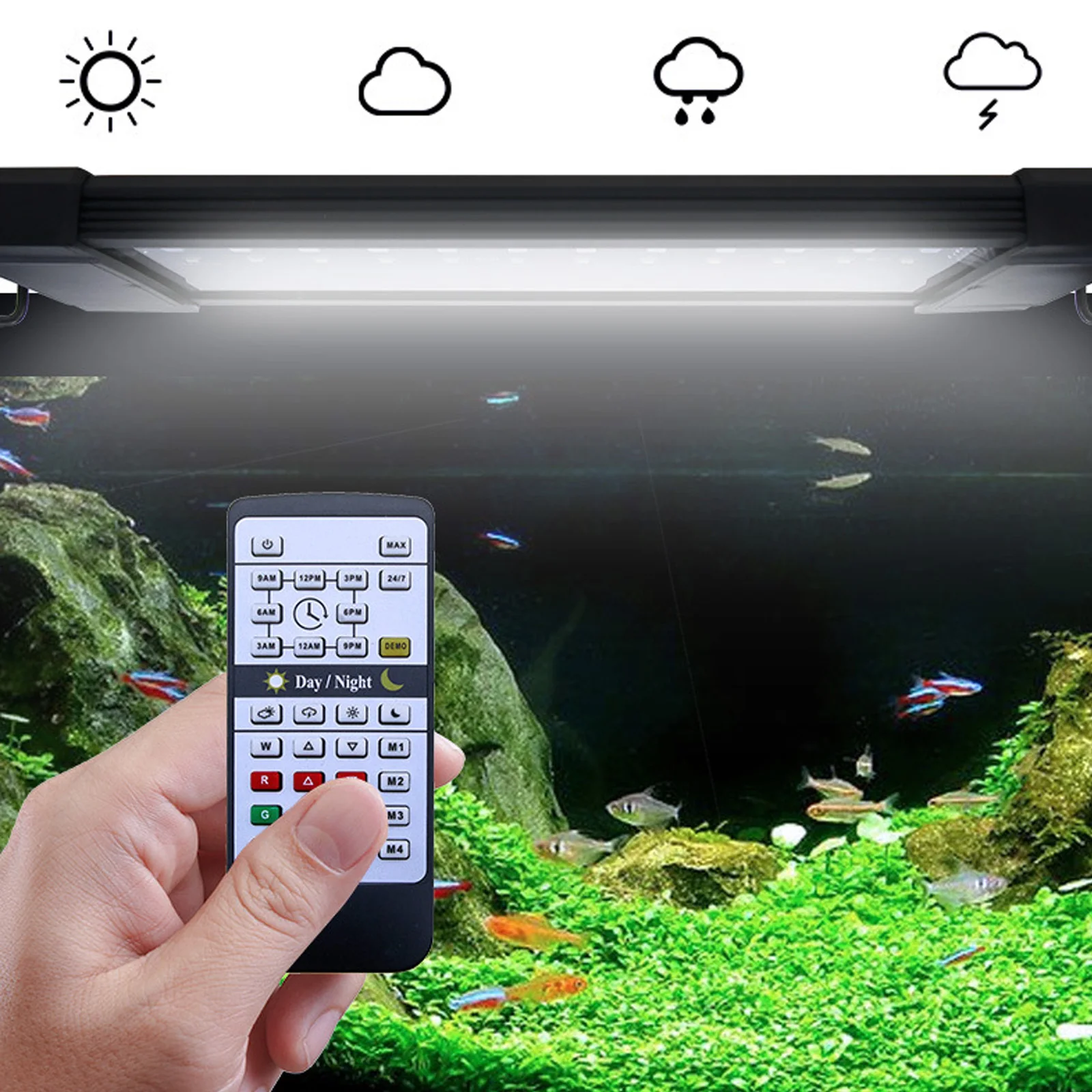 Planted Aquarium Hours - Lampada LED Liweida per Acquario con