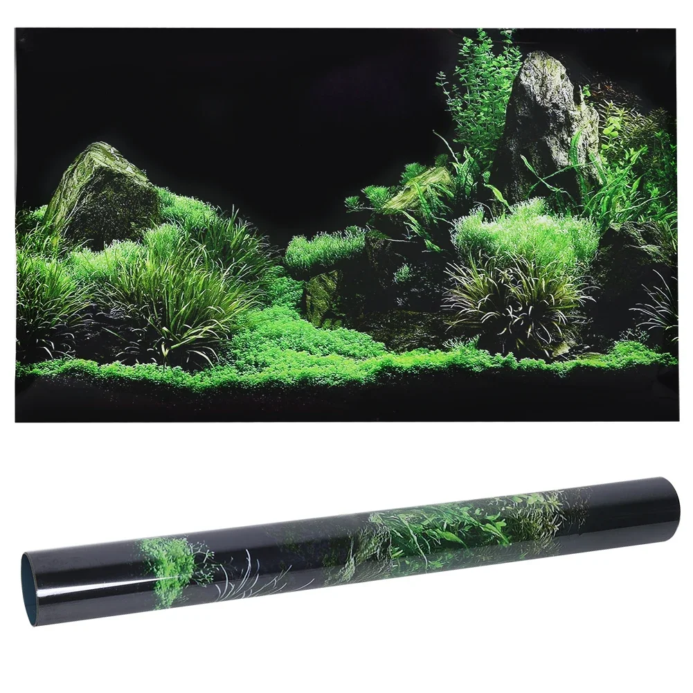Sfondo per acquario 3d Sticker - Planted Aquarium Aquascape recensione e prezzo
