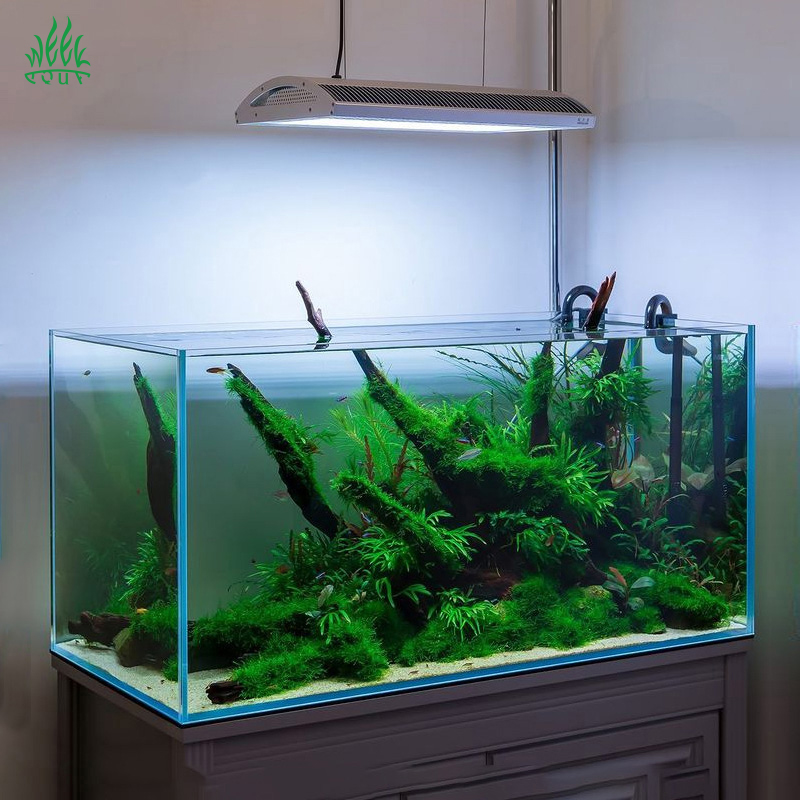Lampada LED per acquario Week  - Planted Aquarium Aquascape recensione e prezzo