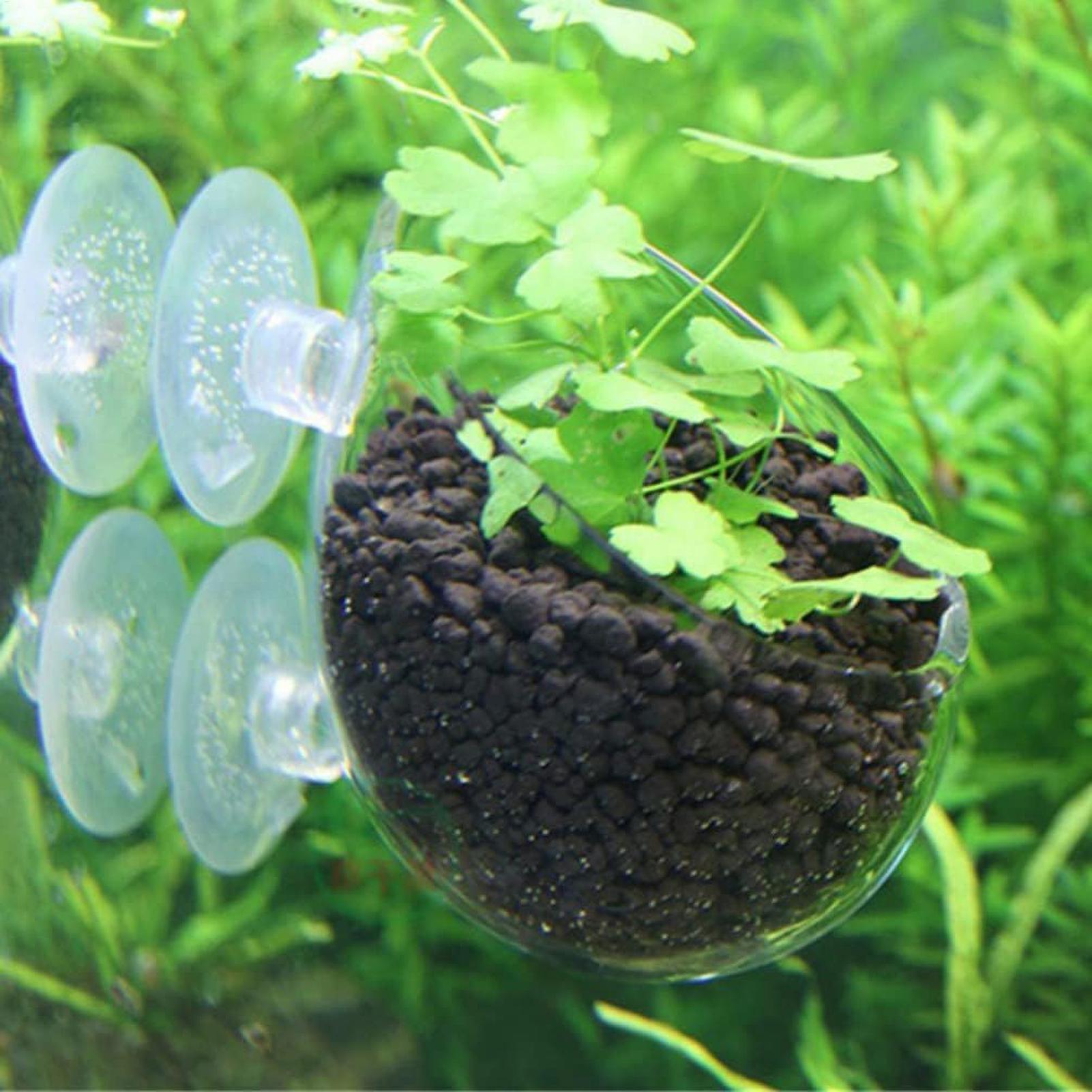 Supporto per Piante Acquatiche - Planted Aquarium Aquascape recensione e prezzo