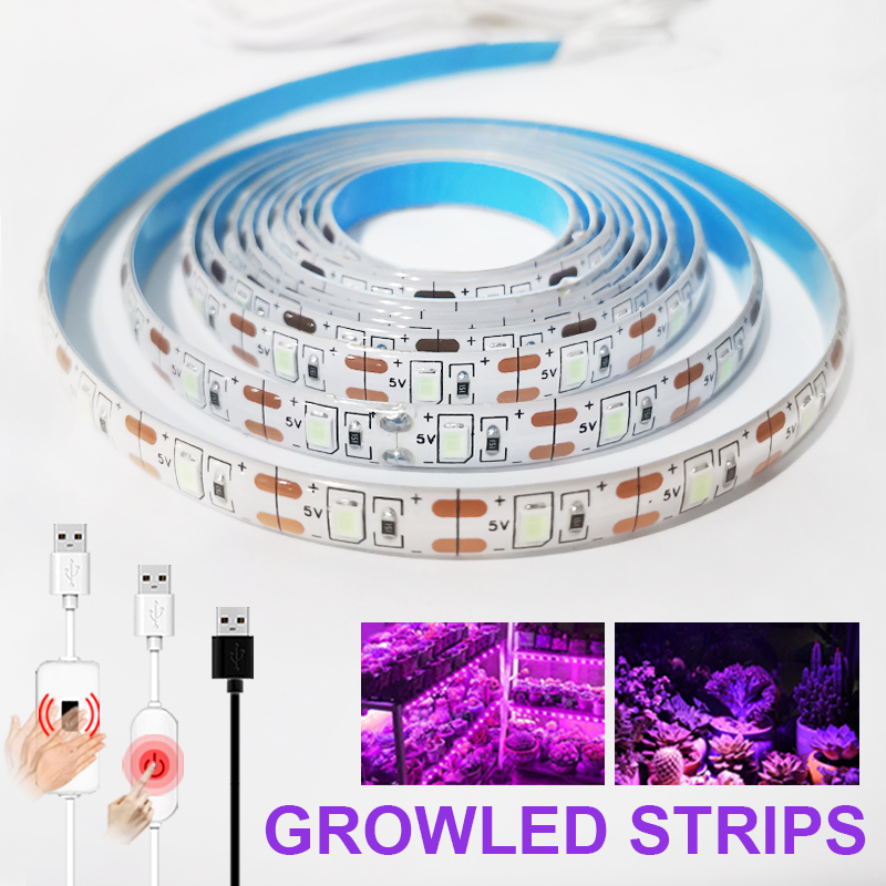 LED5V Barra luminosa Fiore Acq - Planted Aquarium Hours recensione e prezzo