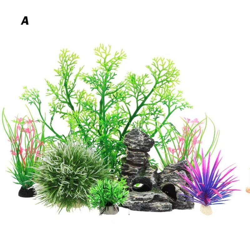 10 Pezzi Nuovi Arrivi Piante e - Planted Aquarium With Rocks recensione e prezzo