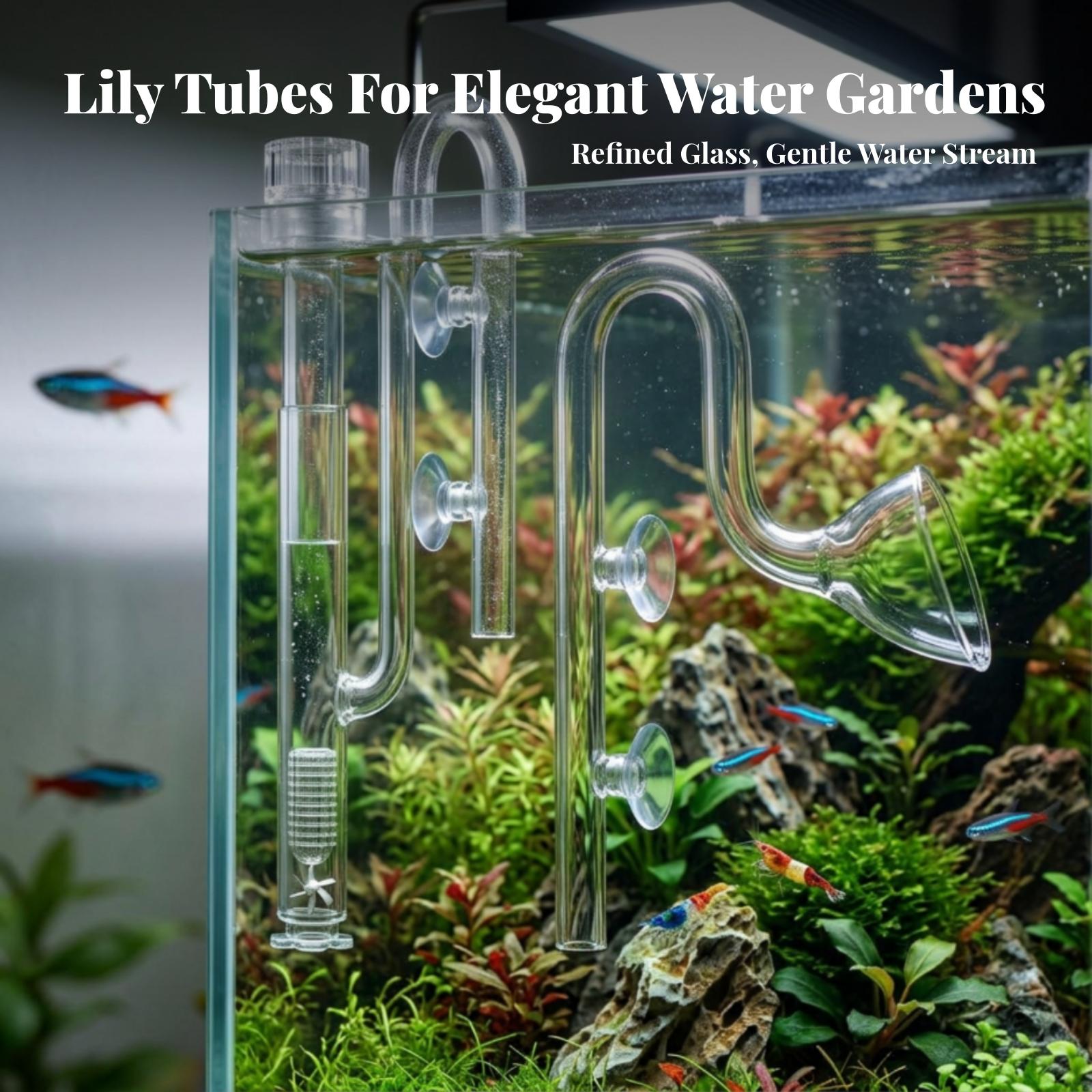 Set di tubi Lily Pipe traspare - Planted Aquarium Aquascape recensione e prezzo