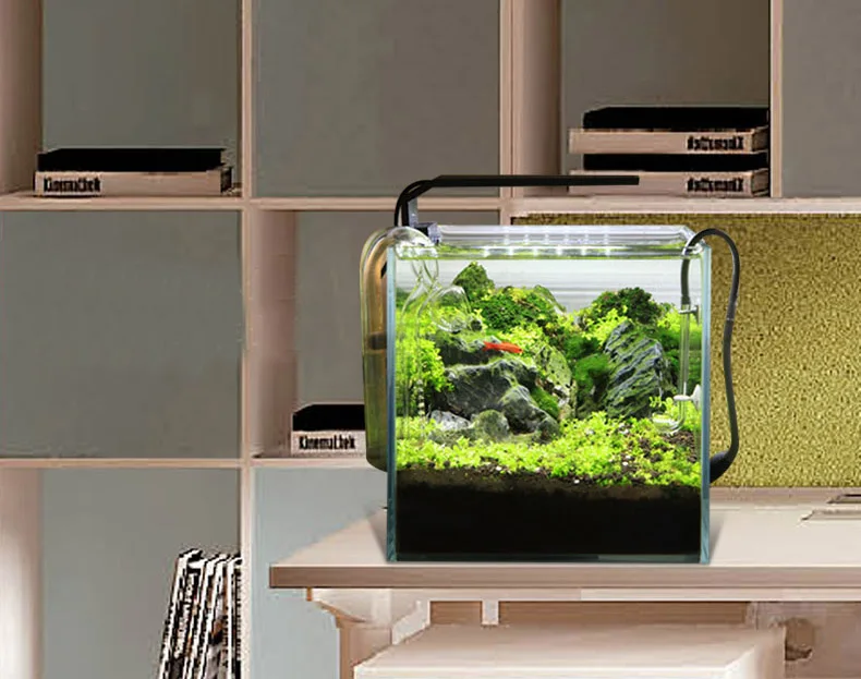 Chihiros Serie C Pianta in sti - Aquarium Plant Ornament recensione e prezzo