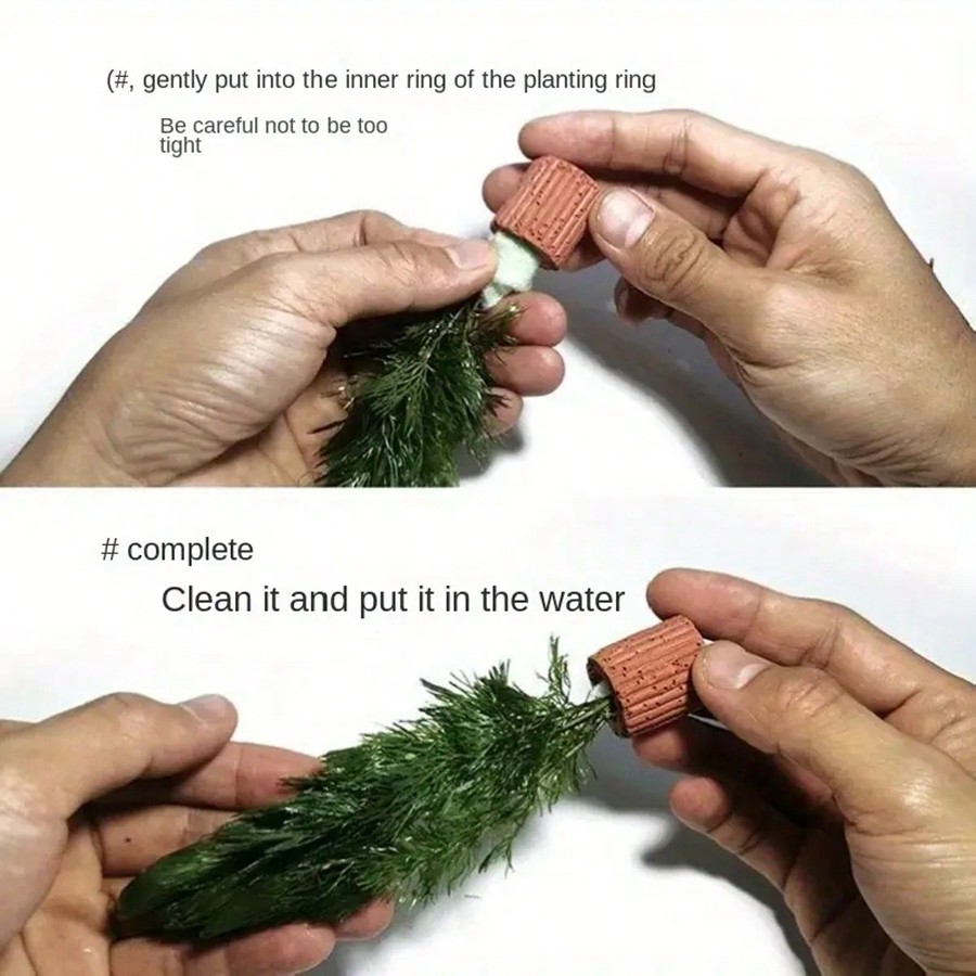 Anelli di fissaggio per piante - Planted Aquarium Aquascape recensione e prezzo