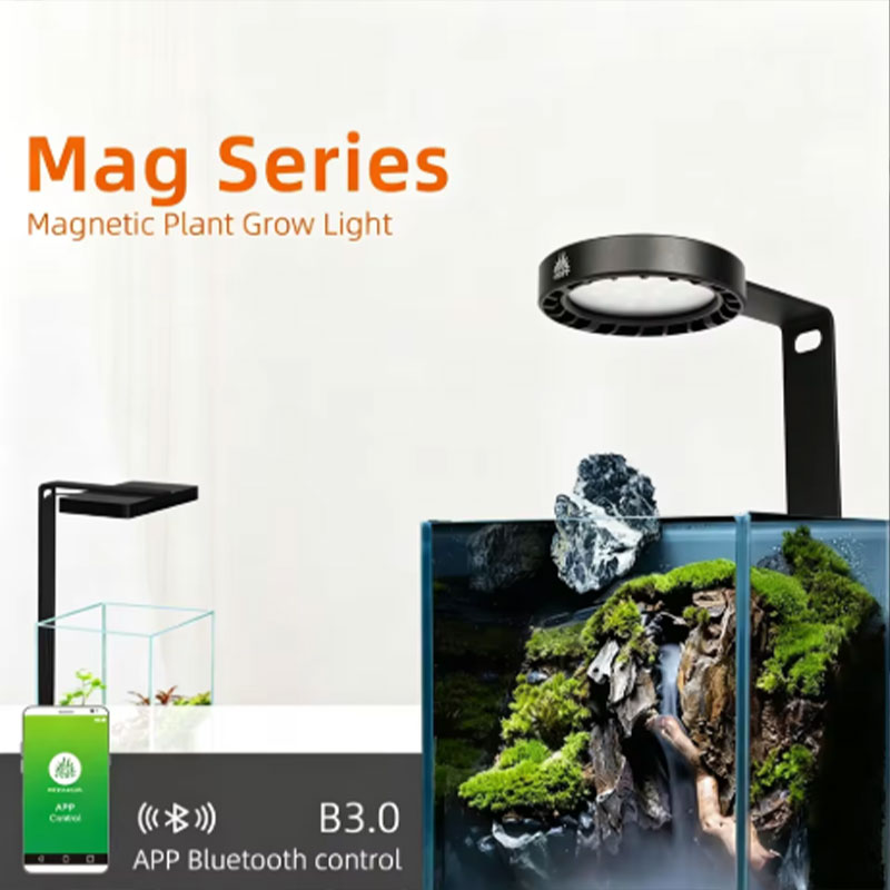 Lampada per Crescita Piante WE - Aquarium Plant Ornament recensione e prezzo