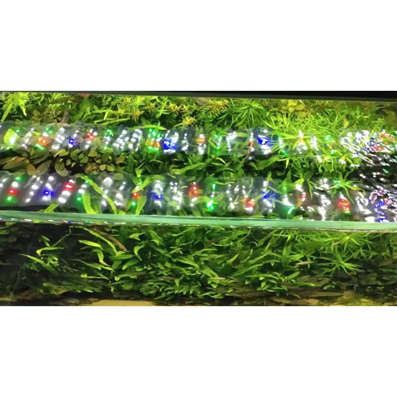 Lampada LED per Acquario a Spe - Planted Aquarium Hours recensione e prezzo