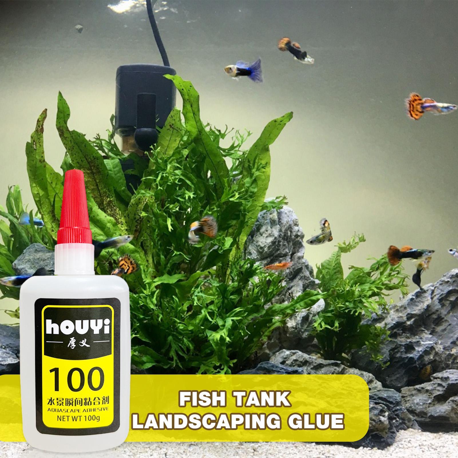 50/100g Colla istantanea trasp - Planted Aquarium Aquascape recensione e prezzo