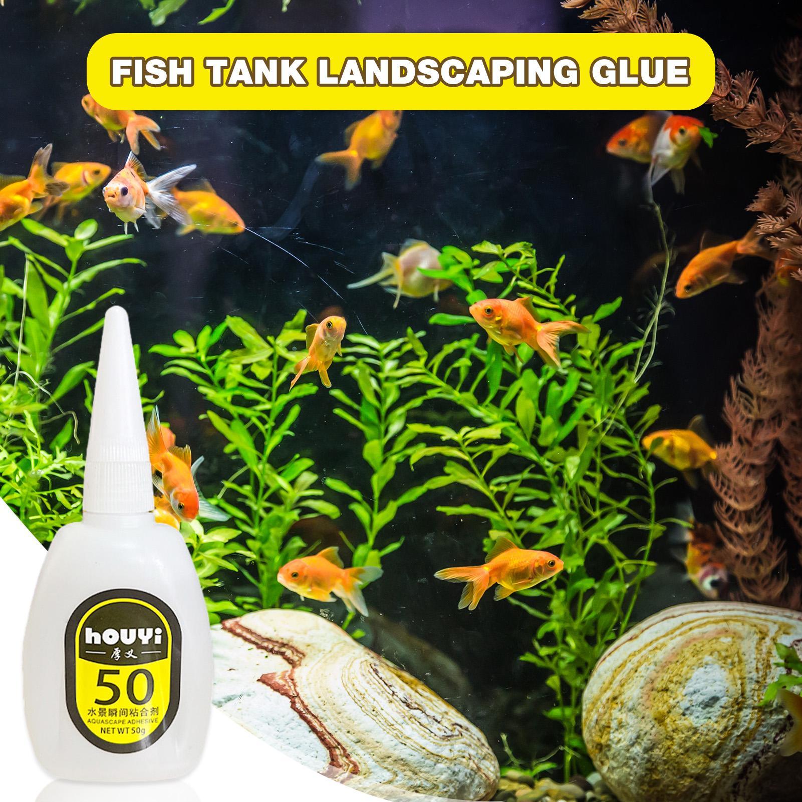 50/100g Colla istantanea trasp - Planted Aquarium Aquascape recensione e prezzo
