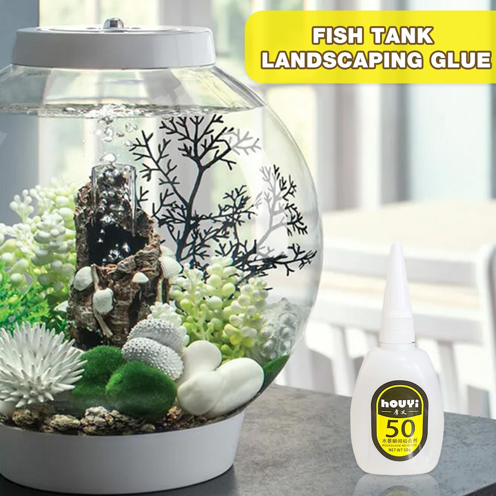 50/100g Colla istantanea trasp - Planted Aquarium Aquascape recensione e prezzo