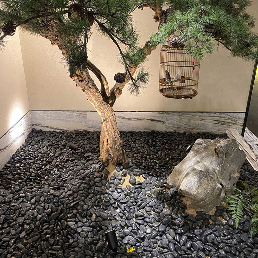 1 Set di Ciottoli Decorativi N - Planted Aquarium With Rocks recensione e prezzo