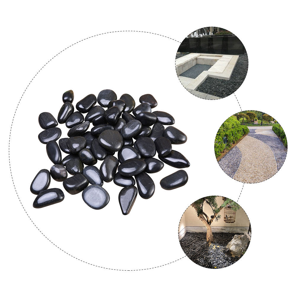 1 Set di Ciottoli Decorativi N - Planted Aquarium With Rocks recensione e prezzo