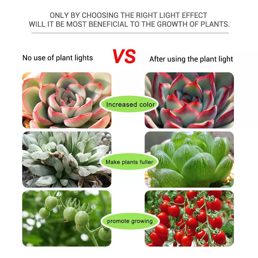 Strisce LED 5V Coltiva Led Fio - Planted Aquarium Hours recensione e prezzo
