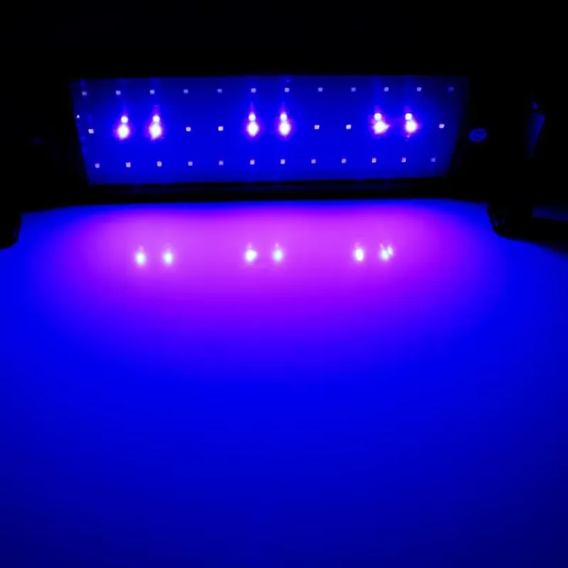 GAKO 11W ZJL-60A Luce LED per  - Planted Aquarium Price recensione e prezzo