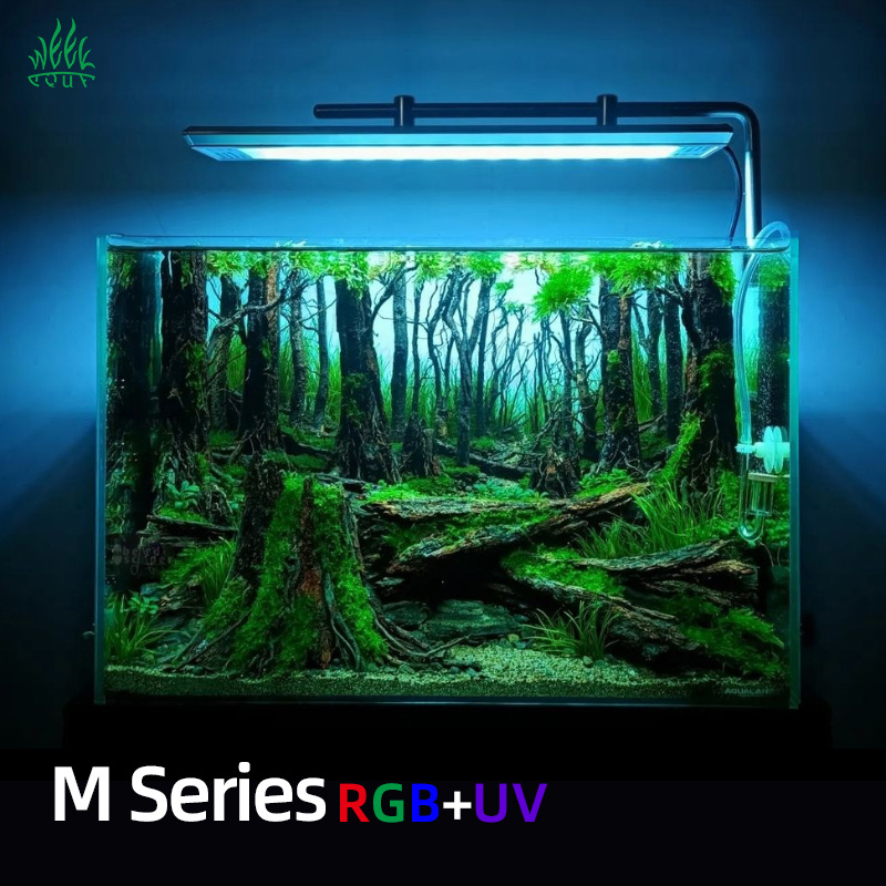 WEEKAQUA M300/M400/M450 D1 PRO - Planted Aquarium Aquascape recensione e prezzo