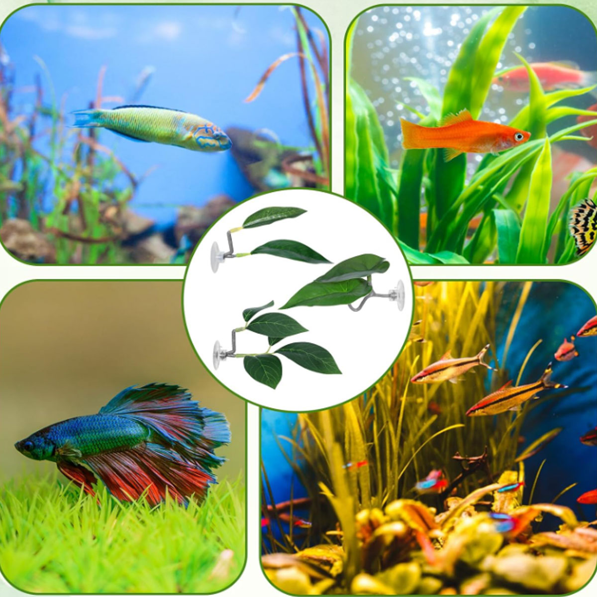 1 Amaca per Pesci Betta, Decor - Aquarium Plant Ornament recensione e prezzo