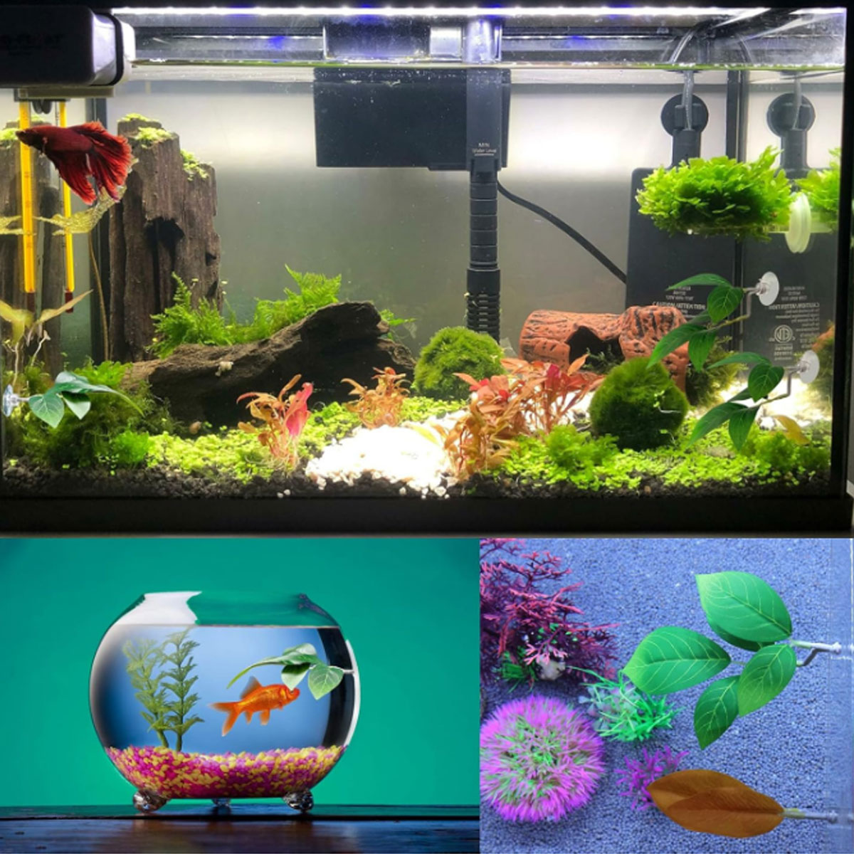 1 Amaca per Pesci Betta, Decor - Aquarium Plant Ornament recensione e prezzo