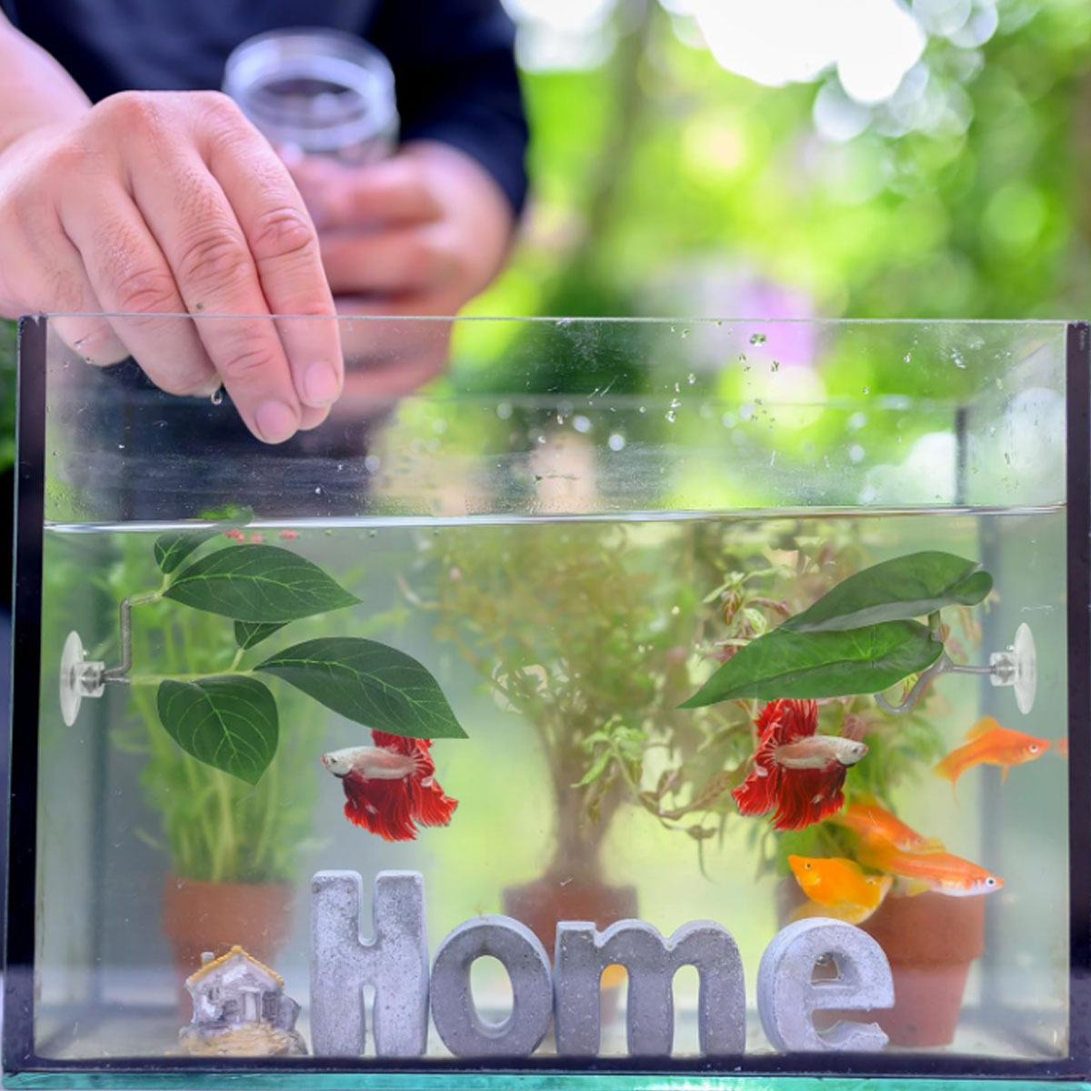 1 Amaca per Pesci Betta, Decor - Aquarium Plant Ornament recensione e prezzo