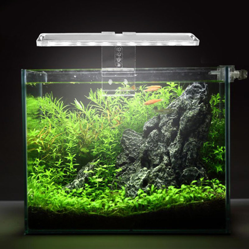 Lampada per acquario a LED luc - Planted Aquarium Price recensione e prezzo