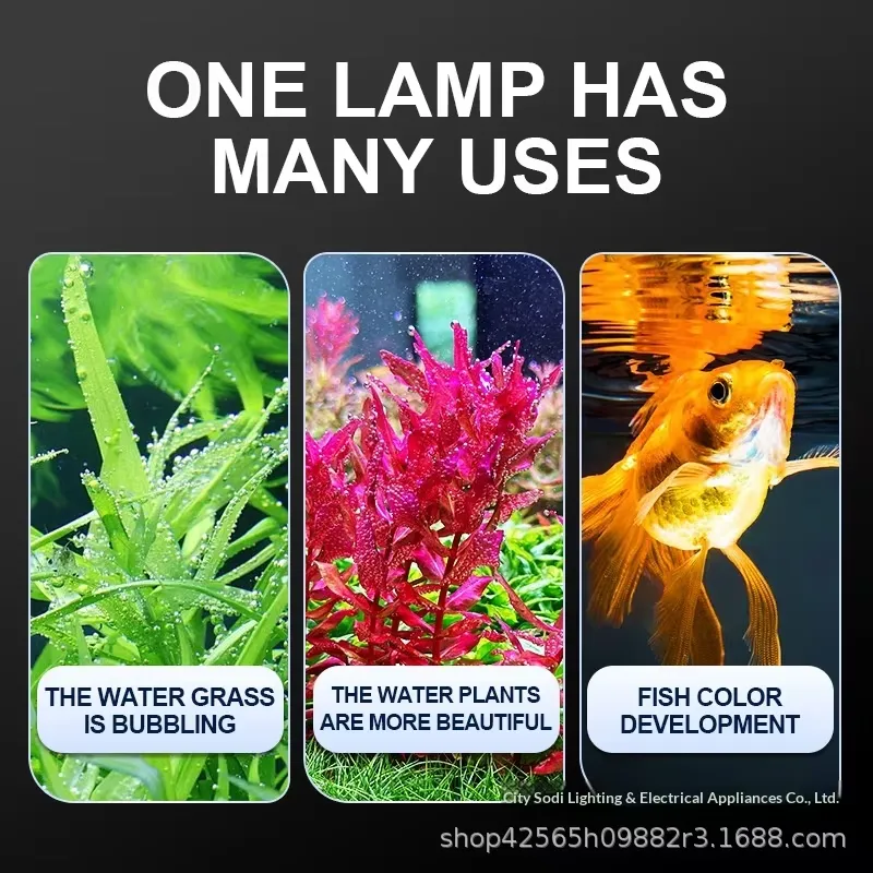 Lampada a Clip USB Professiona - Planted Aquarium Hours recensione e prezzo