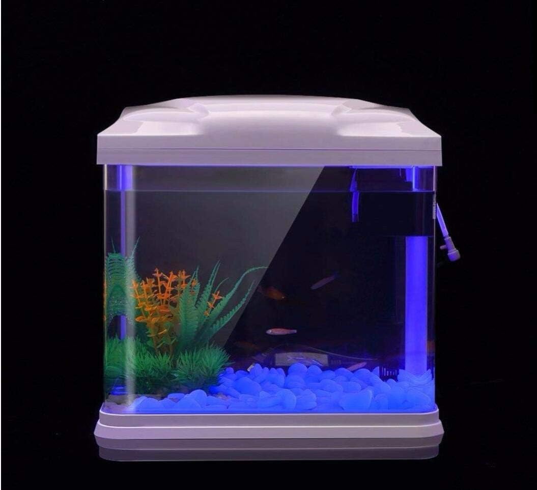 Rocce per acquari che si illum - Planted Aquarium With Rocks recensione e prezzo