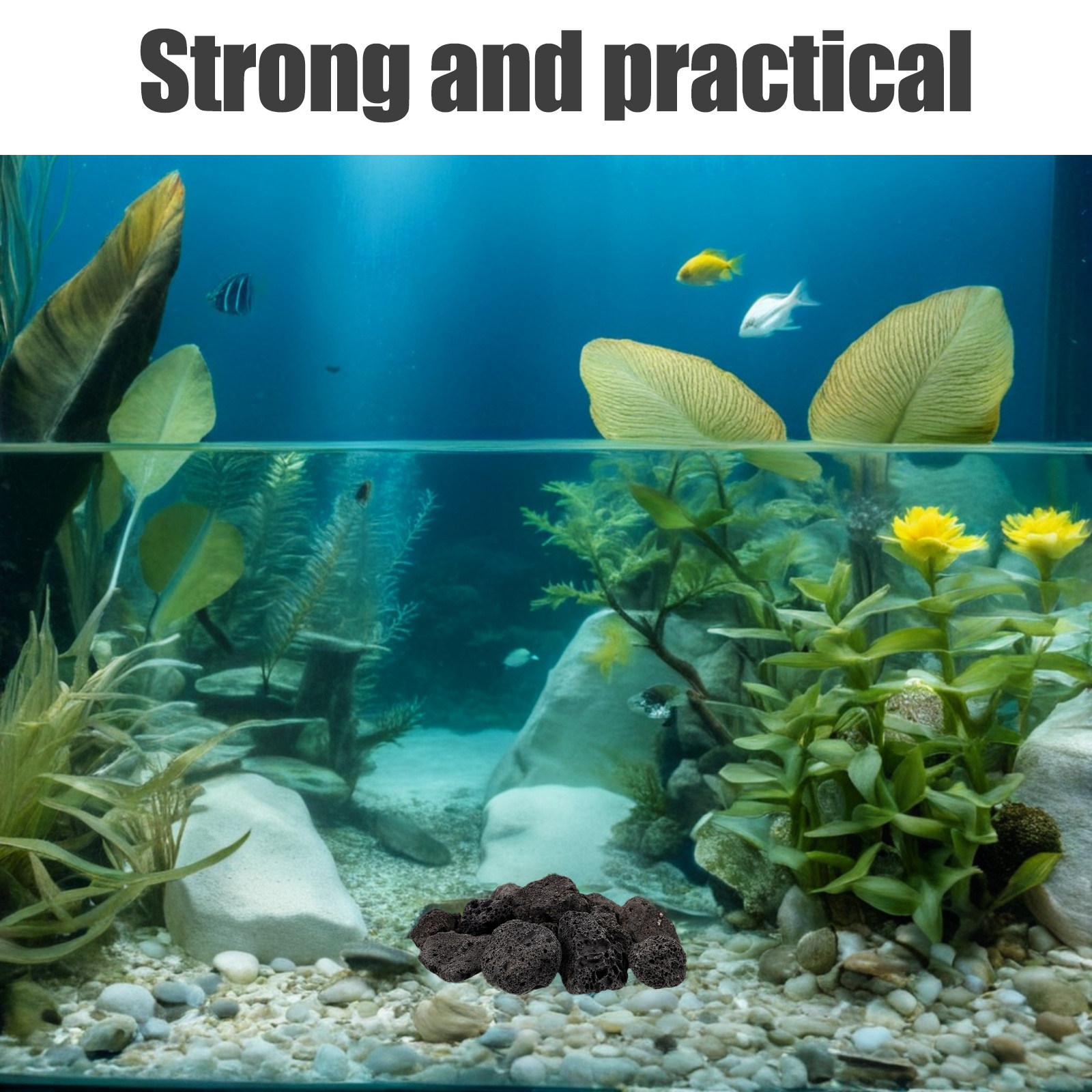 1 Confezione di Rocce Decorati - Planted Aquarium With Rocks recensione e prezzo