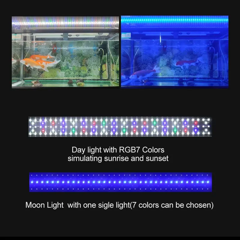 Luce LED RGB per Acquario 12-4 - Planted Aquarium Hours recensione e prezzo