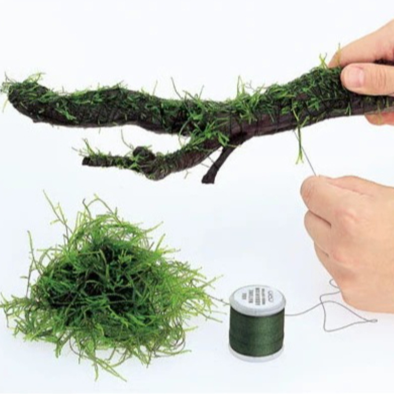 Filo di Muschio Biodegradabile - Planted Aquarium With Rocks recensione e prezzo
