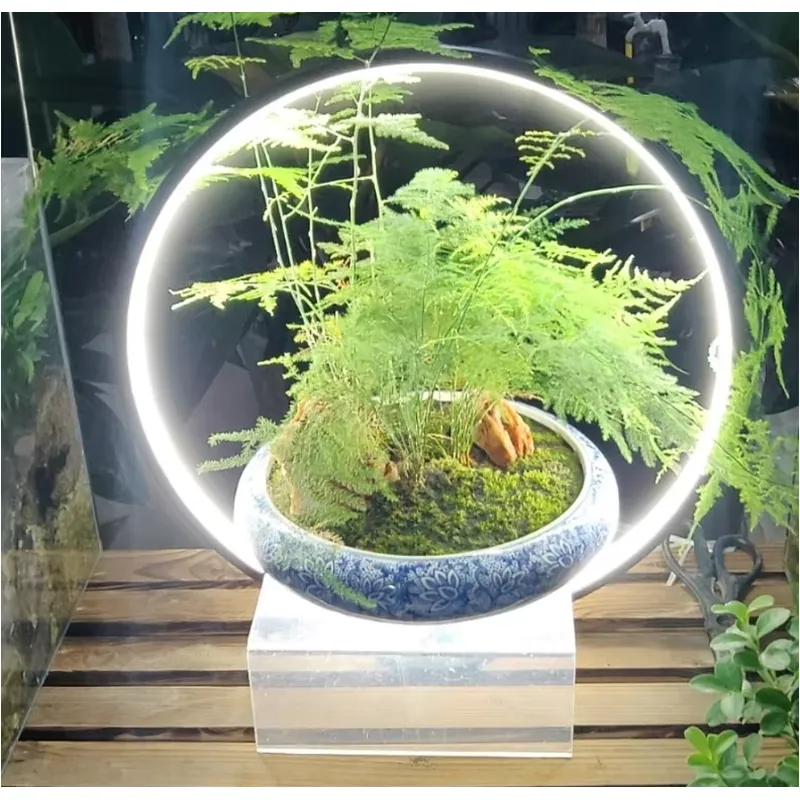 Lampada LED da Scrivania per M - Planted Aquarium Hours recensione e prezzo