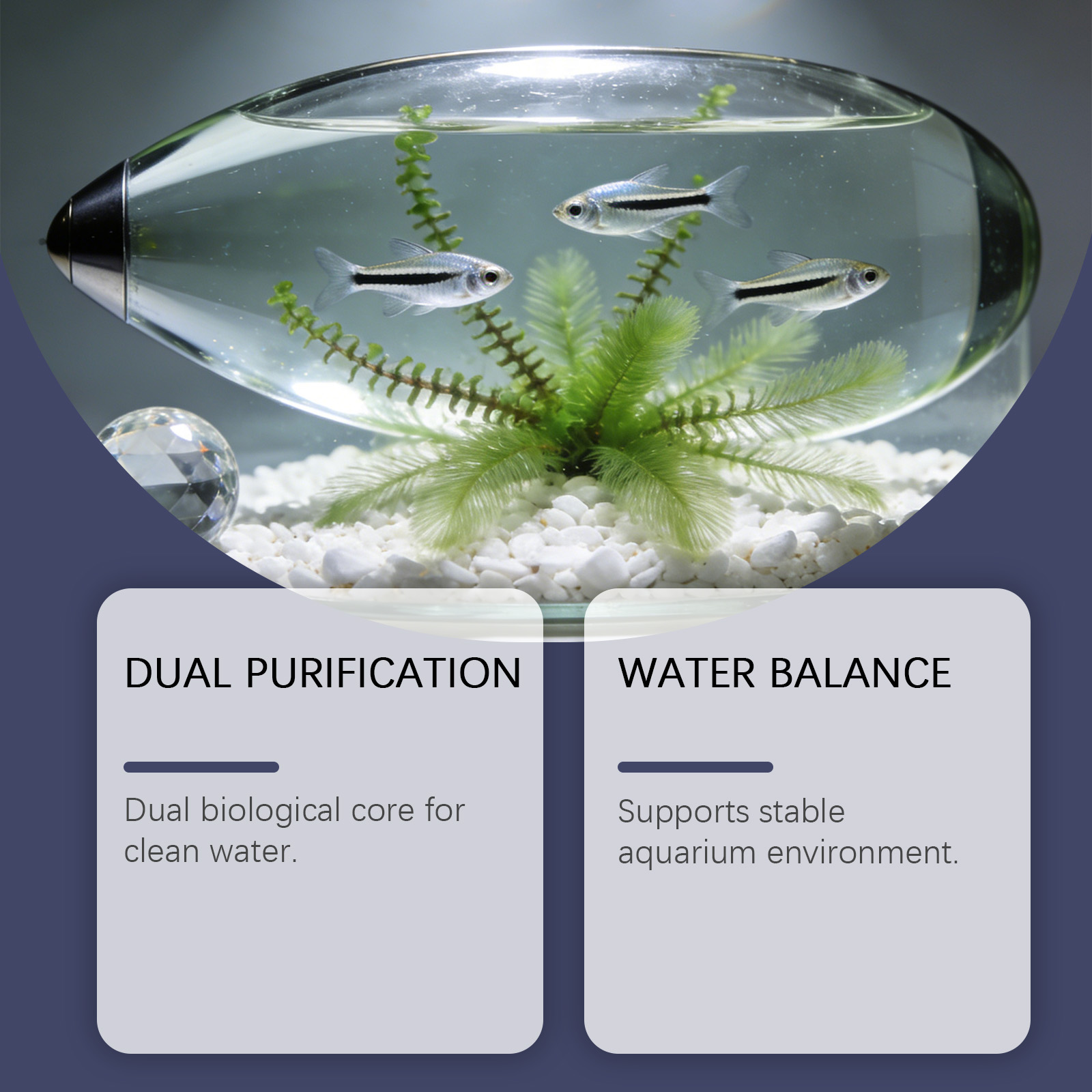 Pastiglie Rimuovi Alghe per Ac - Planted Aquarium Cloudy Water recensione e prezzo