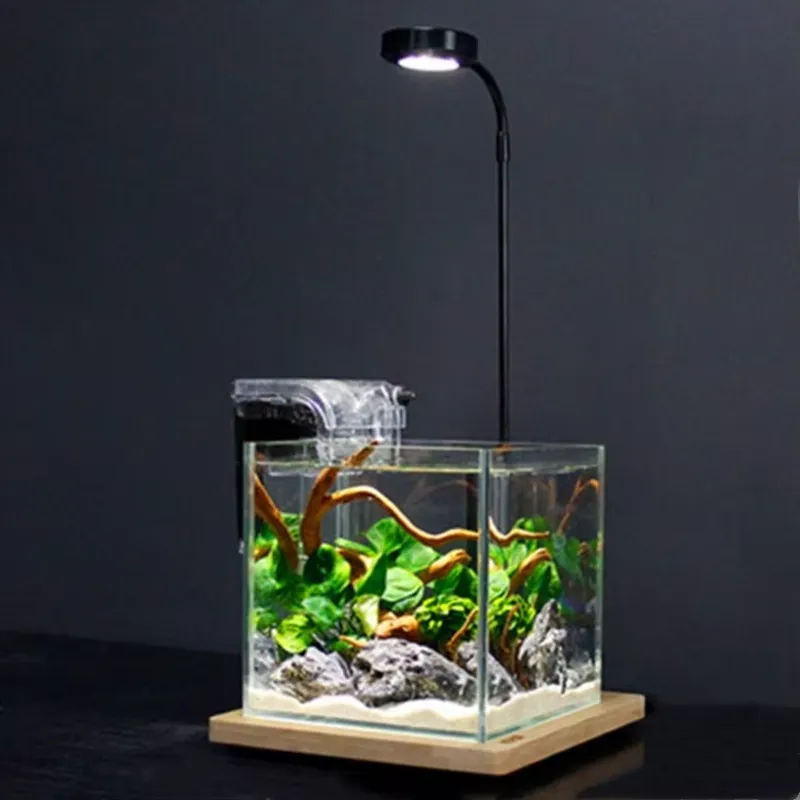 Lampada LED per Acquario con T - Planted Aquarium Hours recensione e prezzo