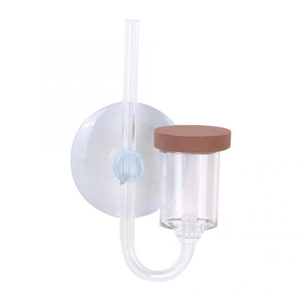 Mini acquario acrilico Pianta  - Planted Aquarium Aquascape recensione e prezzo
