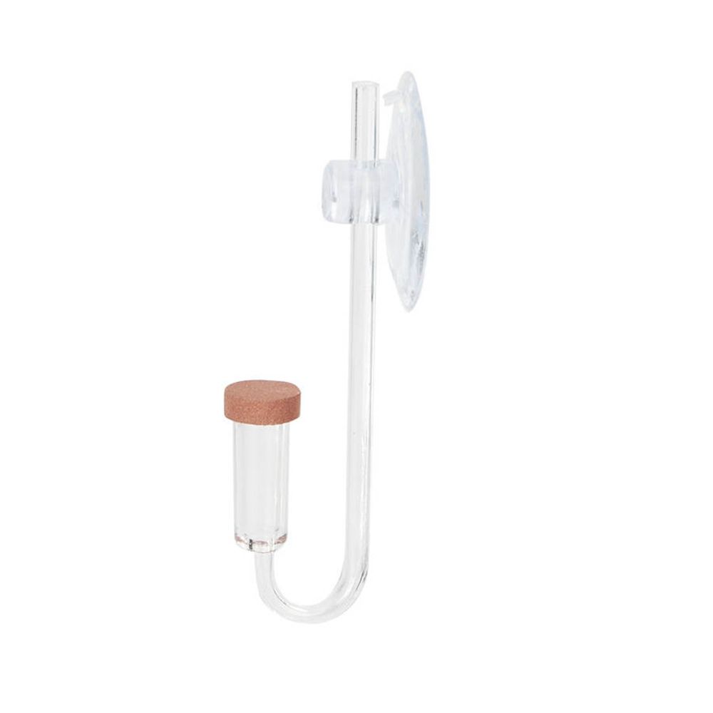 Mini acquario acrilico Pianta  - Planted Aquarium Aquascape recensione e prezzo
