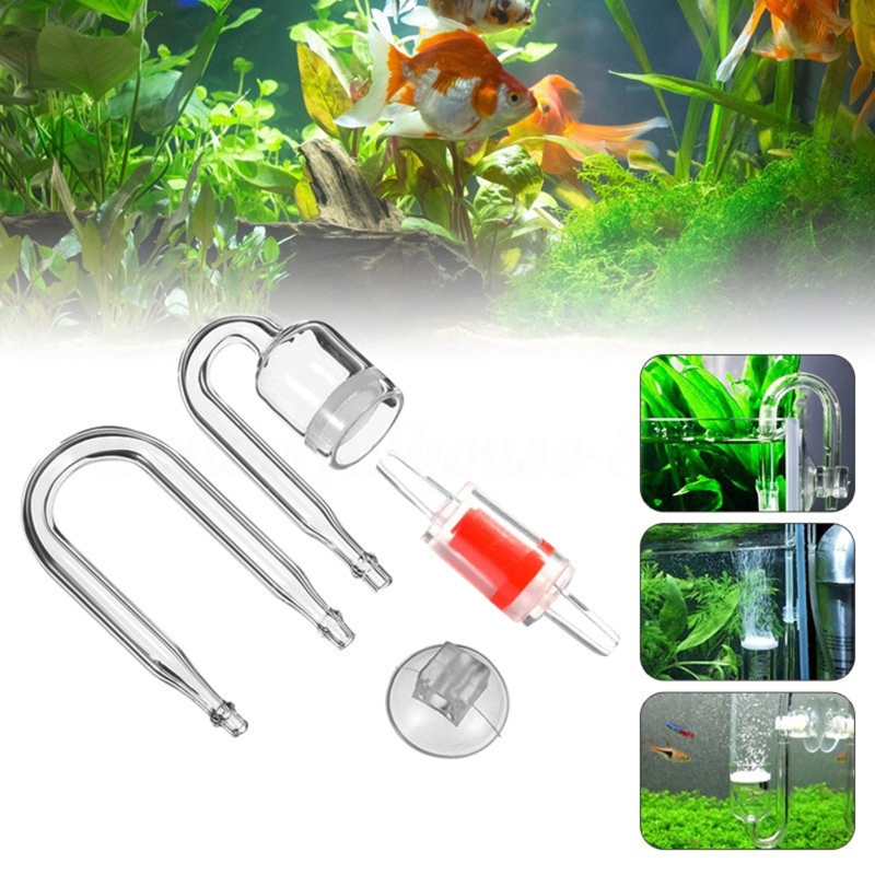 Set da 4 pezzi diffusore di CO - Planted Aquarium Aquascape recensione e prezzo