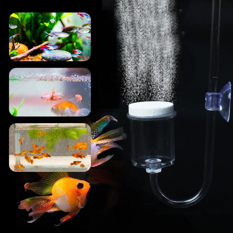 Set da 4 pezzi diffusore di CO - Planted Aquarium Aquascape recensione e prezzo